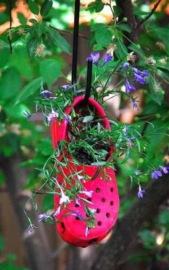 shoe planter: 