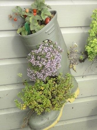 Boot Planter!: 