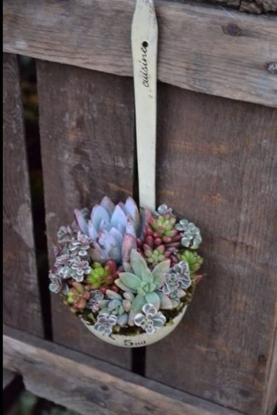 A Spoonful of Succulents! Great idea for my grandmother's well dipper from farm. love this for the backyard!: 