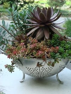Container Gardening Ideas | Garden Ideas