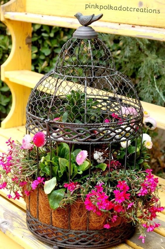 How to Plant a Bird Cage: 