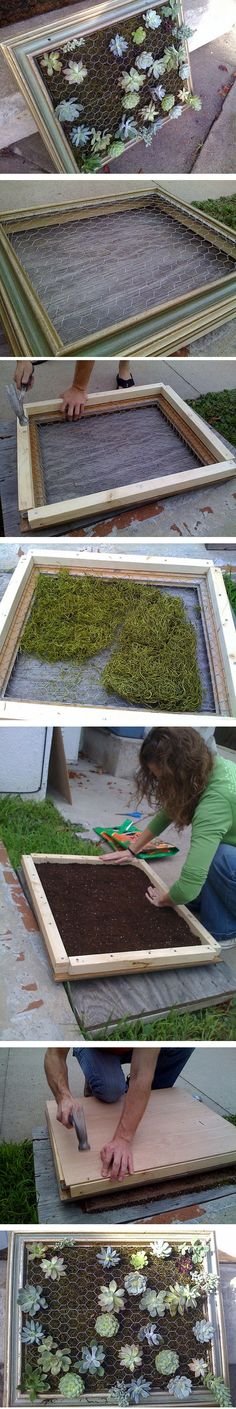 Yes please.  How to on framed succulent planters.