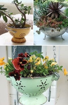 Love these creative twists on container gardening! 24 Creative Garden Container Ideas | Use an old pasta strainer as a planter!