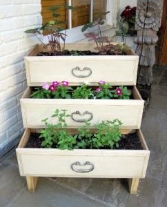 drawer flower pot: 
