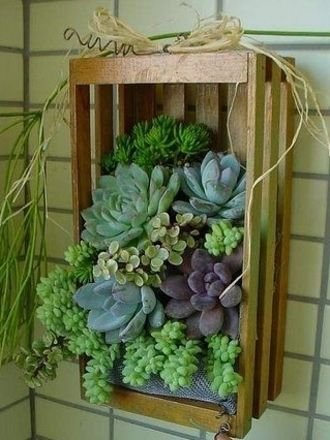 https://redgardenclogs.files.wordpress.com/2010/09/vertical-succulent-planter.jpg: 