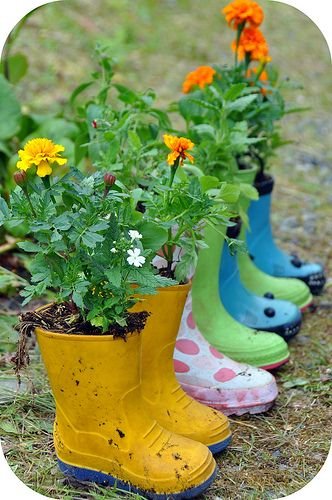 an adorable idea for outgrown and cracked rainboots..pick them up cheap at a tag sale!: 