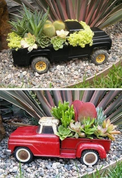 Succulent trucks: 