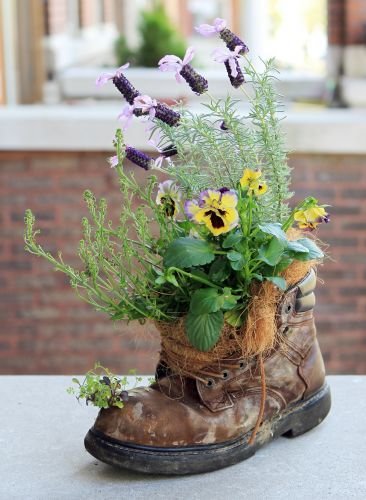 An old boot can be repurposed for the garden.: 