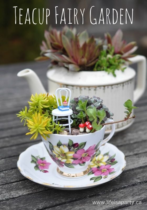 Teacup Fairy Garden -the perfect mini succulent garden along with how to make your own little fairy accessories: