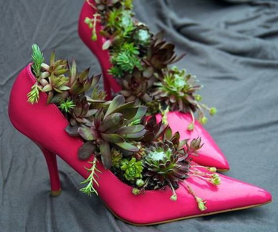 Succulent Garden Ideas- I have to laugh- was trying to figure out what type of party would have these on the bar...bachelorette party?: 