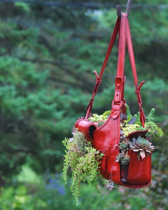 worn handbag for succulent container!!!: 