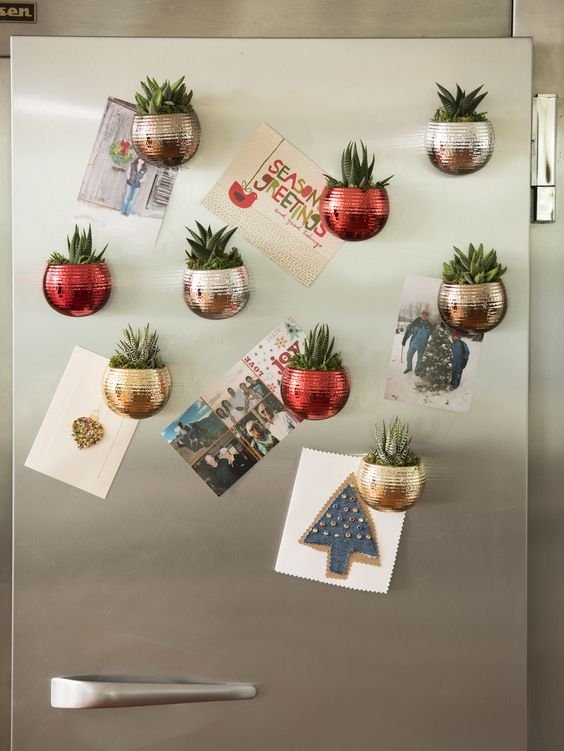 Indoor Succulent Garden - Mini Magnet Holiday Succulent Garden: 