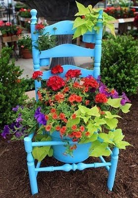 Chair planter: 