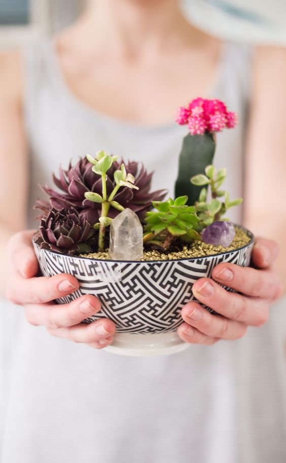 DIY: succulent garden / Faça você mesmo: mini jardim de suculentas: