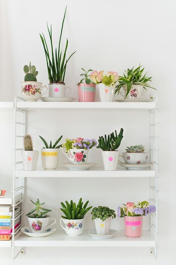 Tea cups and succulents: