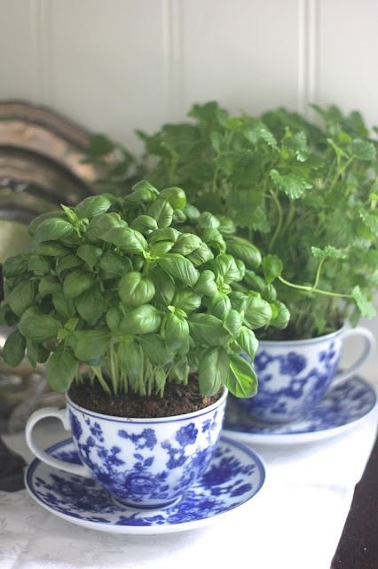 2. Herbs