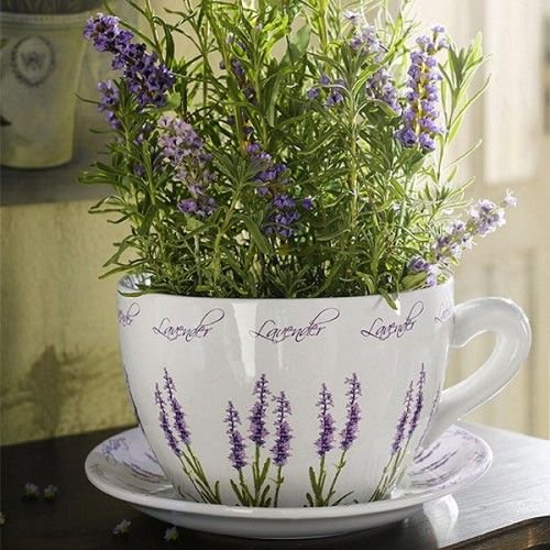 A Teacup for Lavender: