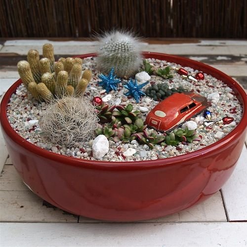 Indoor fairy garden: