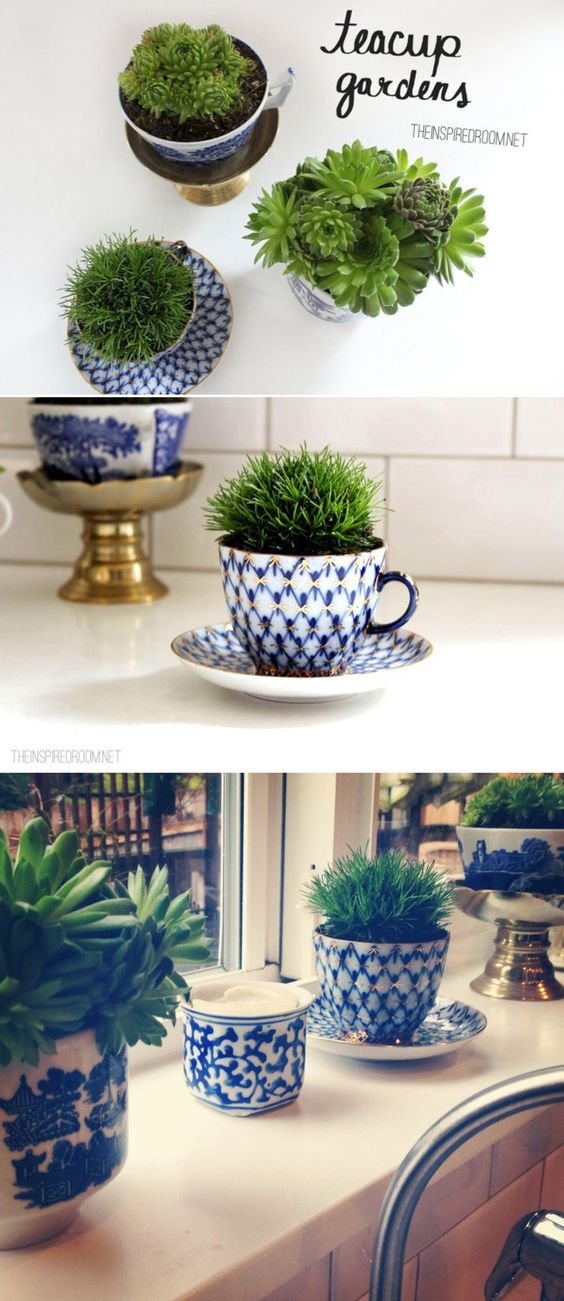Turn teacups into plant holders. | 51 Insanely Easy Ways To Transform Your Everyday Things:
