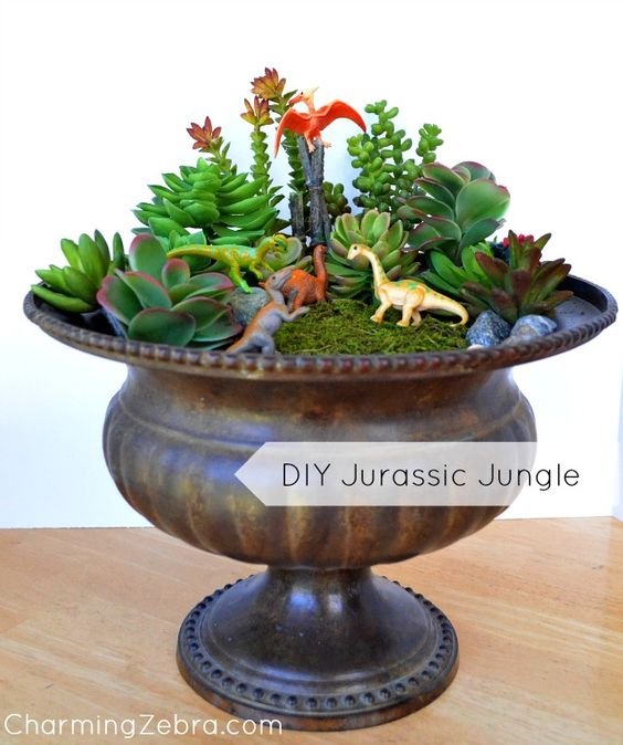 Mini Jurassic Jungle with succulents.: