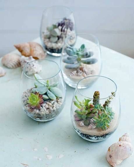 Des petites succulentes dans un photophore: