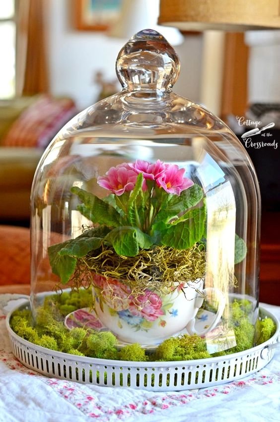 Spring under Glass - Cottage at the Crossroads: