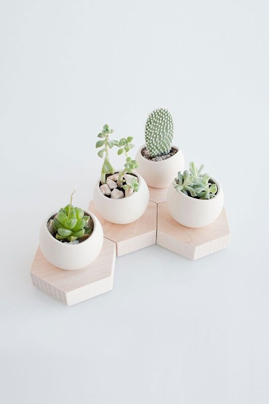 love these little pots: