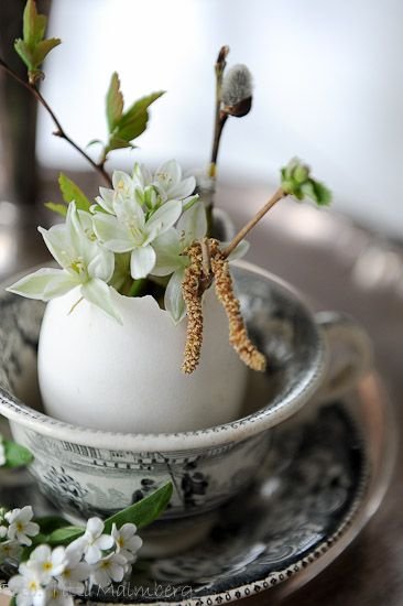 HWIT BLOG