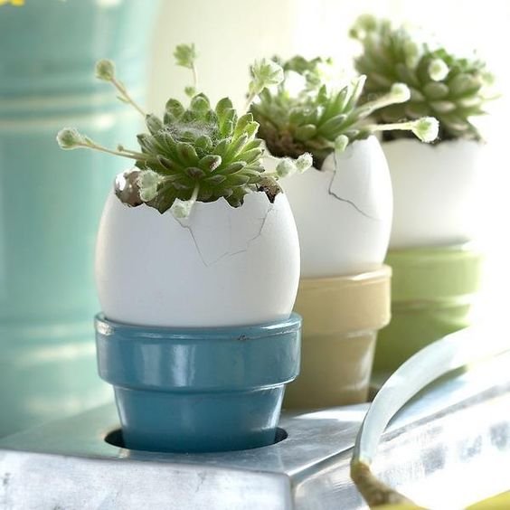 recycling egg shells for table decorations and flower centerpieces