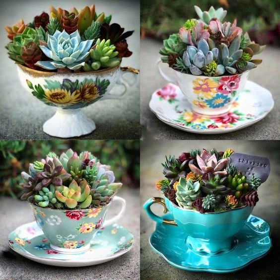 Gma Gen's teacups?