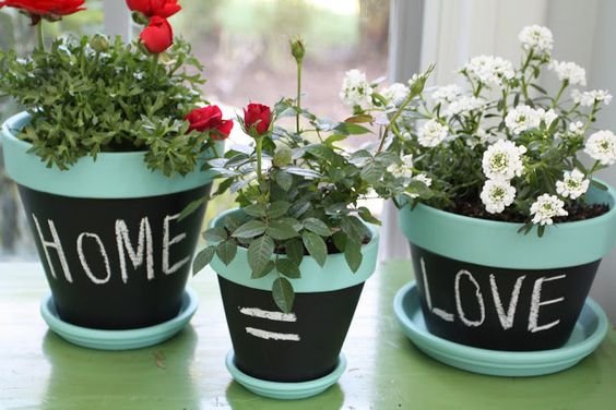 i lived on wisteria lane: my 1st valentine's flowers...