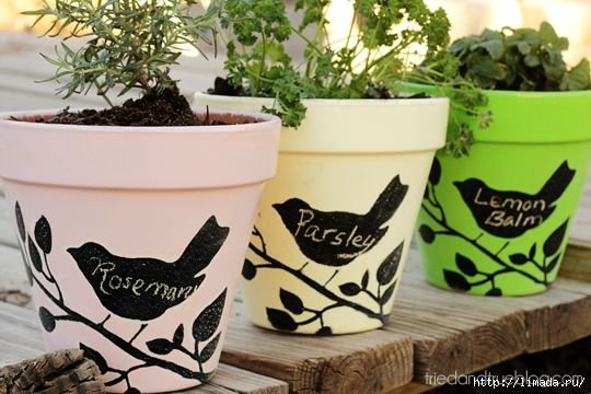 Ð´ÐµÐºÐ¾Ñ ÑÐ²ÐµÑÐ¾ÑÐ½ÑÑ Ð³Ð¾ÑÑÐºÐ¾Ð². ÐÐ±ÑÑÐ¶Ð´ÐµÐ½Ð¸Ðµ Ð½Ð° LiveInternet - Ð Ð¾ÑÑÐ¸Ð¹ÑÐºÐ¸Ð¹ Ð¡ÐµÑÐ²Ð¸Ñ ÐÐ½Ð»Ð°Ð¹Ð½-ÐÐ½ÐµÐ²Ð½Ð¸ÐºÐ¾Ð²