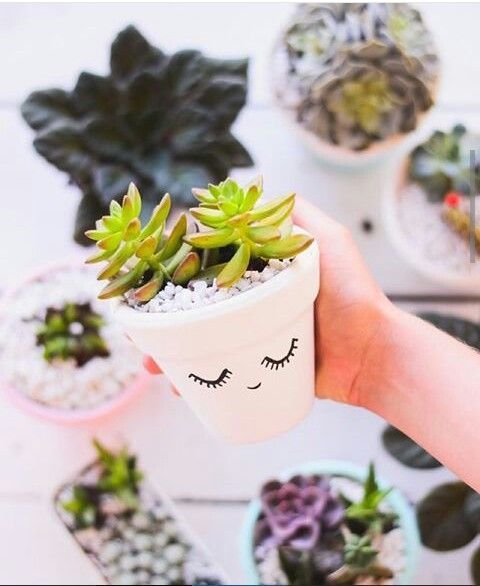 â³â«â¿xoneaxoâ¿âªâ³