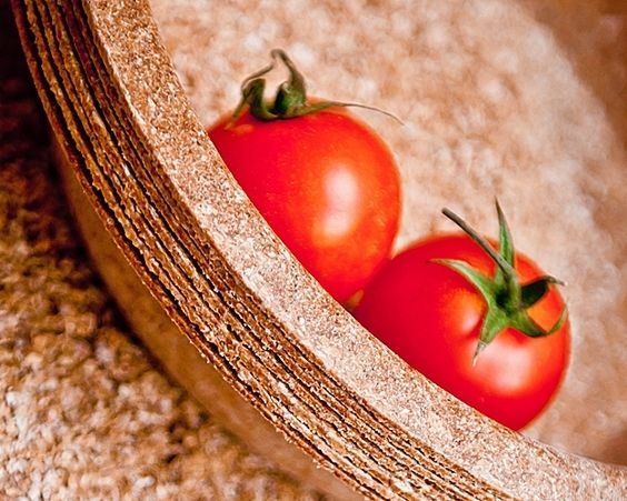 BIOTREM - produkcja i sprzedaÅ¼ - biodegradowalne naczynia jednorazowe z otrÄb pszennych